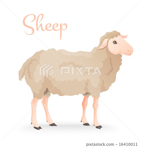 Realisic cute sheep standing on the gras with farm background 16410011