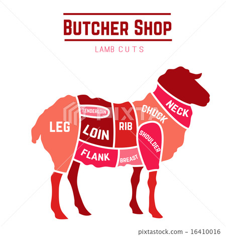 Lamb or mutton cuts diagram. Butcher shop Lamb or mutton cuts diagram. Butcher shop 16410016