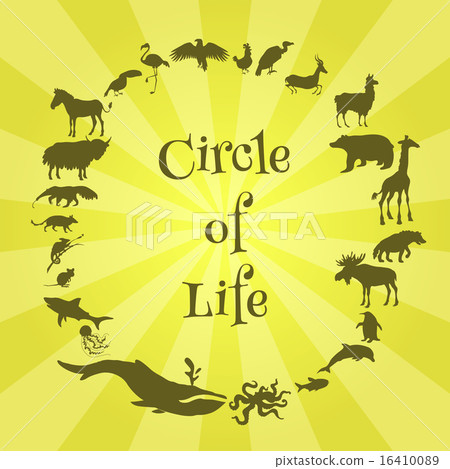 Concept poster animals silhouettes around with text inside. Circle of life.  16410089