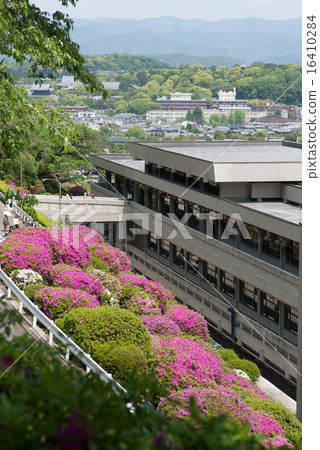 Kegami water purification plant azalea Kegami water purification plant azalea 16410284