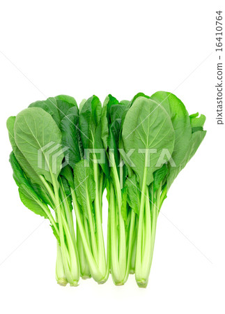 Komatsuna Komatsuna 16410764