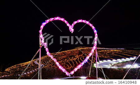 White rice Senjita White rice Senjita 16410948