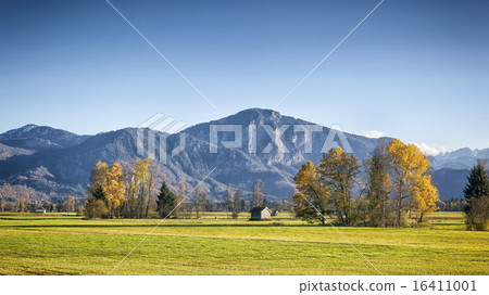 autumn scenery autumn scenery 16411001