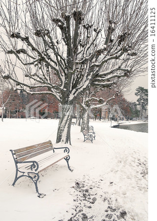 winter scenery winter scenery 16411125