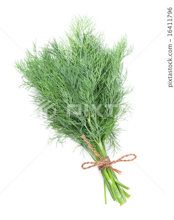 Fresh garden herbs. Dill 16411796