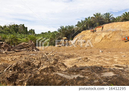 Deforestation in a tropical rainforest 16412295