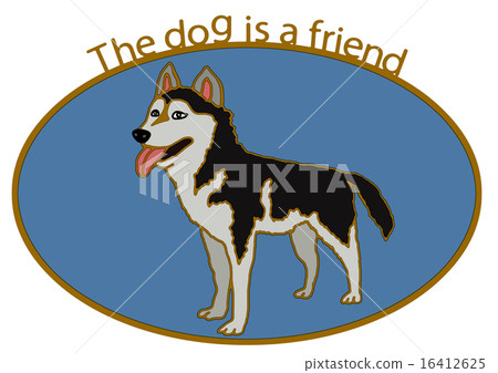 西伯利亞雪橇犬 西伯利亞雪橇犬 16412625