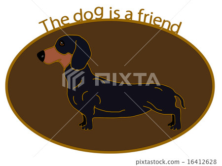 Standard · Dachshund 16412628
