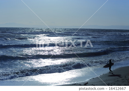 單獨的湘南衝浪者 16412667