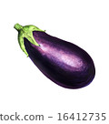 Realistic watercolor illustration eggplant  16412735