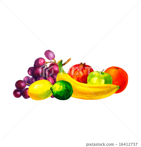Hand drawn watercolor fresh organic fruits  16412737