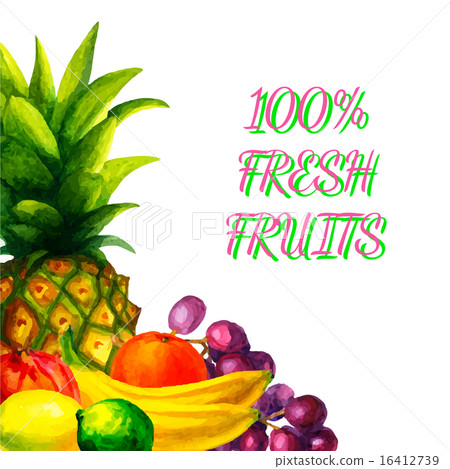Hand drawn watercolor fresh organic fruits  16412739