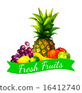 Hand drawn watercolor fresh organic fruits  16412740