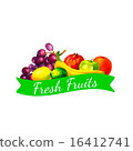 Hand drawn watercolor fresh organic fruits  16412741