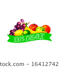 Hand drawn watercolor fresh organic fruits  16412742