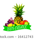 Hand drawn watercolor fresh organic fruits  16412743