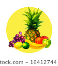 Hand drawn watercolor fresh organic fruits  16412744