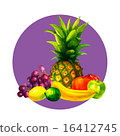 Hand drawn watercolor fresh organic fruits  16412745