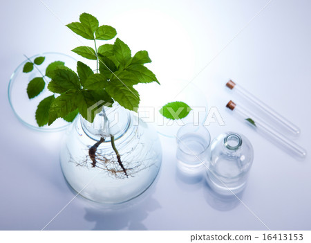 Laboratory glassware, bio organic modern concept Laboratory glassware, bio organic modern concept 16413153