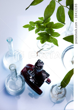 Laboratory glassware, genetically modified plant Laboratory glassware, genetically modified plant 16413193