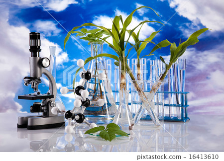 Laboratory glassware, genetically modified plant Laboratory glassware, genetically modified plant 16413610