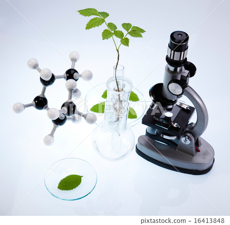 Chemistry equipment, plants laboratory Chemistry equipment, plants laboratory 16413848