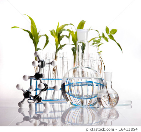 Chemistry equipment, plants laboratory  16413854