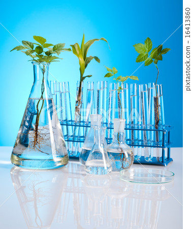 Chemistry equipment, plants laboratory Chemistry equipment, plants laboratory 16413860