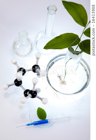 Chemistry equipment, plants laboratory  16413908