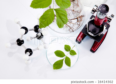 Science experiment with plant laboratory Science experiment with plant laboratory 16414302