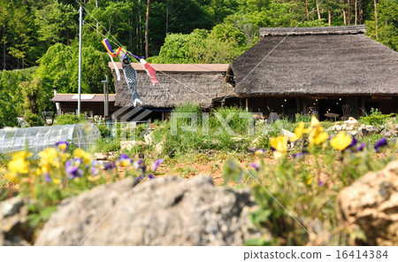 舊私人住宅的Koinobori 16414384