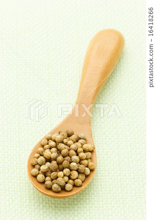 Coriander seed 16418266