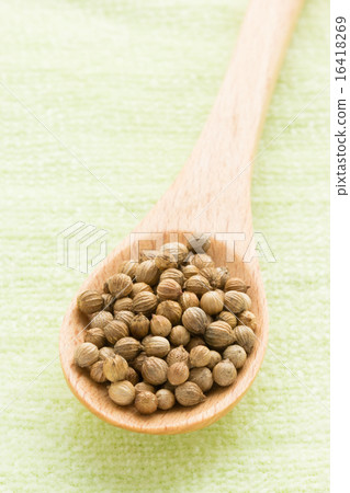 Coriander seed Coriander seed 16418269