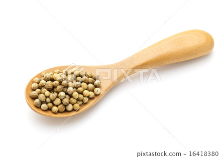 Coriander seed Coriander seed 16418380