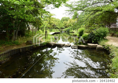 水上樂園 16418402