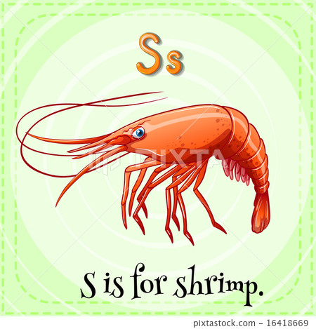 Shrimp 16418669
