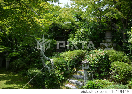 Good Law temple (Momijiji) Good Law temple (Momijiji) 16419449