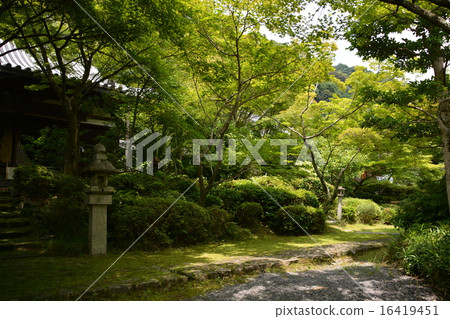 Good Law temple (Momijiji) 16419451