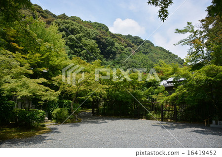 好法寺（Momijiji） 16419452