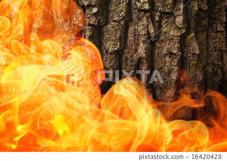 Composite image of fire Composite image of fire 16420428