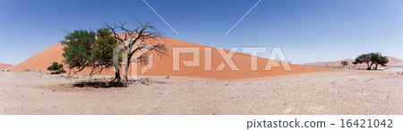 wide panorama Dune 45 in sossusvlei Namibia wide panorama Dune 45 in sossusvlei Namibia 16421042