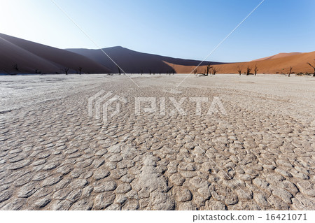 beautiful landscape of Hidden Vlei in Namib desert 16421071