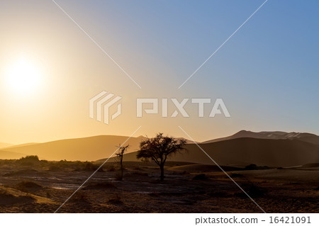 beautiful landscape of Hidden Vlei in Namib desert 16421091