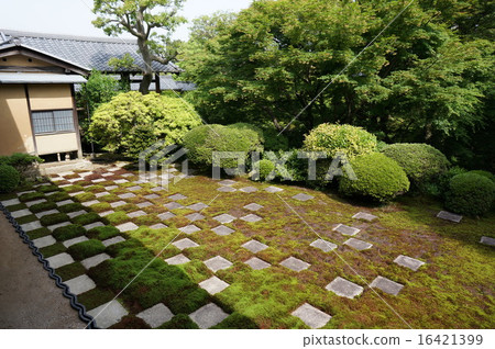 Kyoto Tofukuji Kita Garden:Koichi Matsu Kyoto Tofukuji Kita Garden:Koichi Matsu 16421399