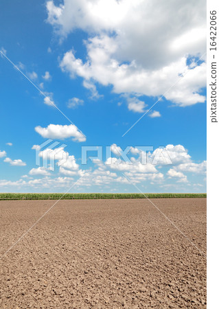 Agriculture, plowed land, soil ready to seeding Agriculture, plowed land, soil ready to seeding 16422066