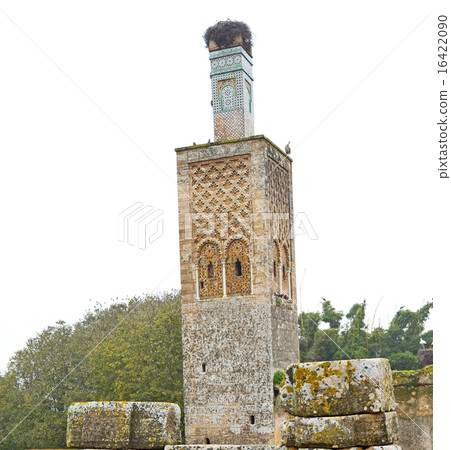 chellah  in morocco africa the old roman   16422090