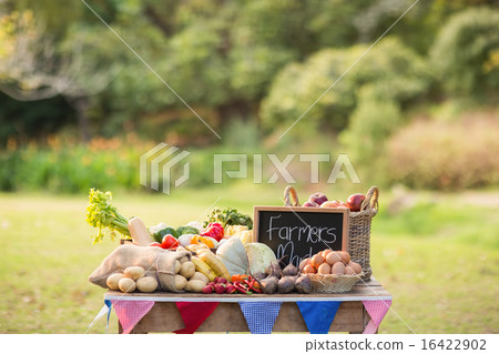 Table with locally grown vegetables 16422902