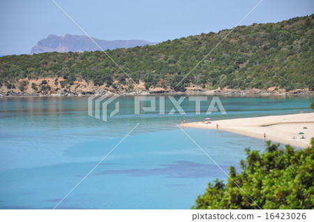 撒丁島的海 撒丁島的海 16423026