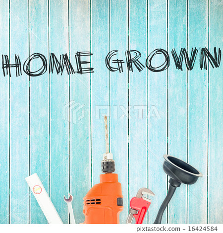 Home grown against tools on wooden background 16424584