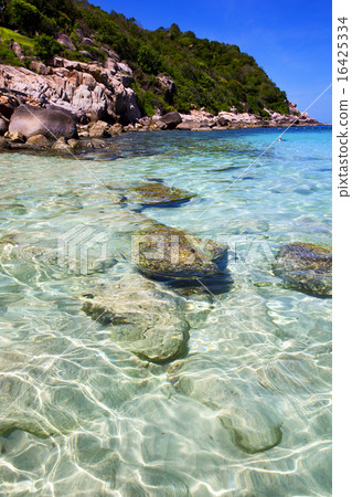 asia in the bay kho tao beach    rocks  boat 16425334